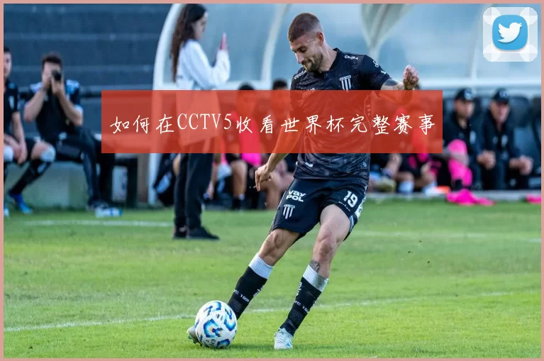 如何在CCTV5收看世界杯完整赛事
