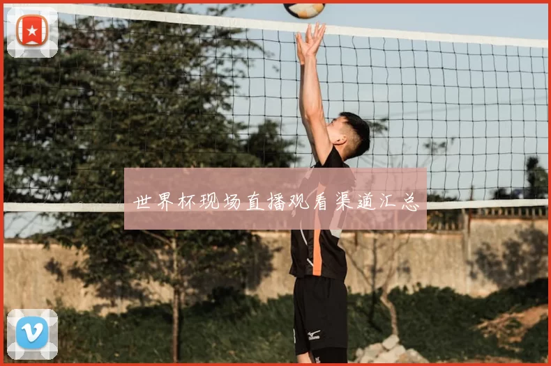 世界杯现场直播观看渠道汇总