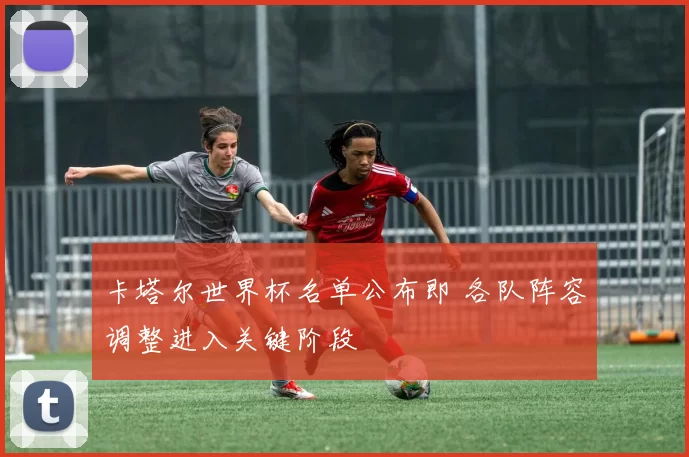 卡塔尔世界杯名单公布即 各队阵容调整进入关键阶段