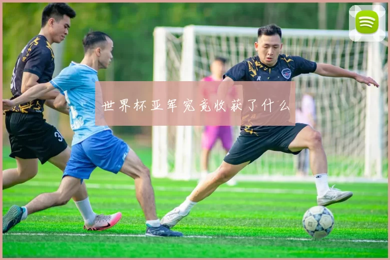 世界杯亚军究竟收获了什么