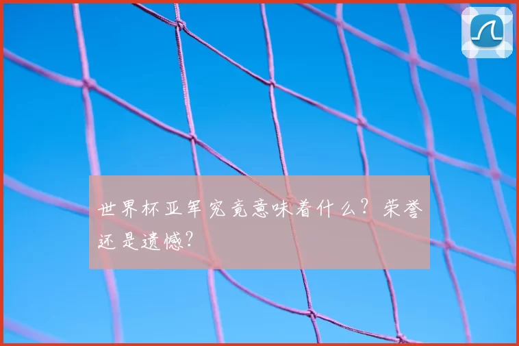 世界杯亚军究竟意味着什么?荣誉还是遗憾?