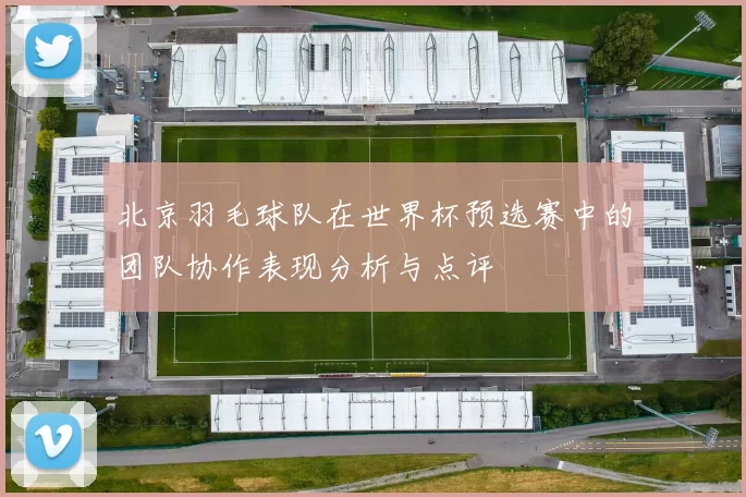 北京羽毛球队在世界杯预选赛中的团队协作表现分析与点评