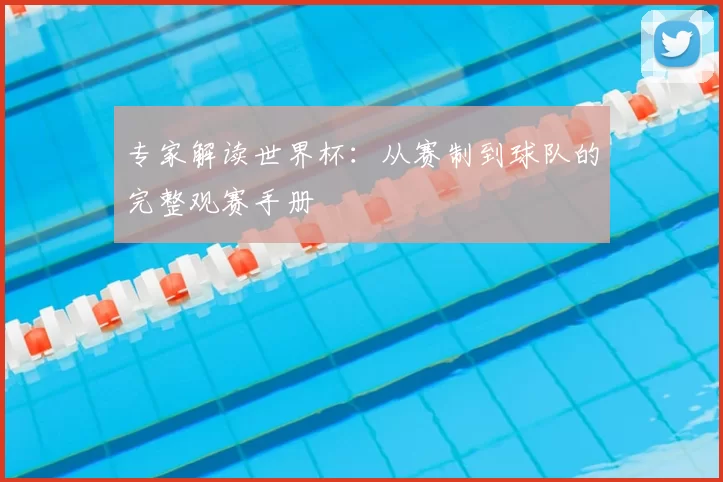 专家解读世界杯：从赛制到球队的完整观赛手册