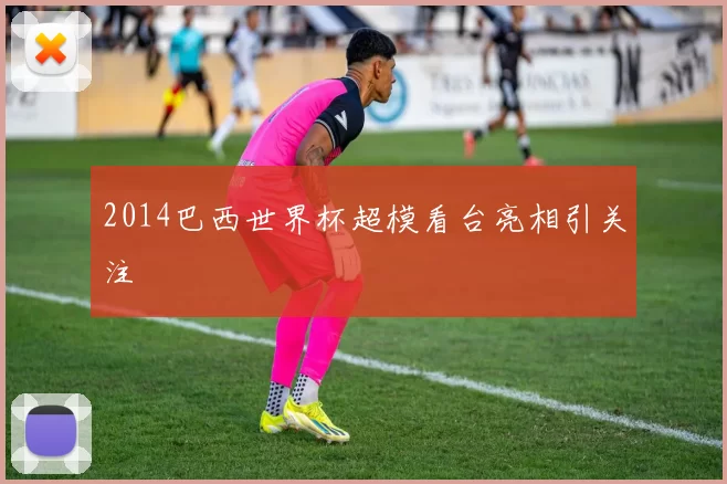 2014巴西世界杯超模看台亮相引关注