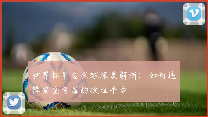 世界杯平台买球深度解析：如何选择安全可靠的投注平台