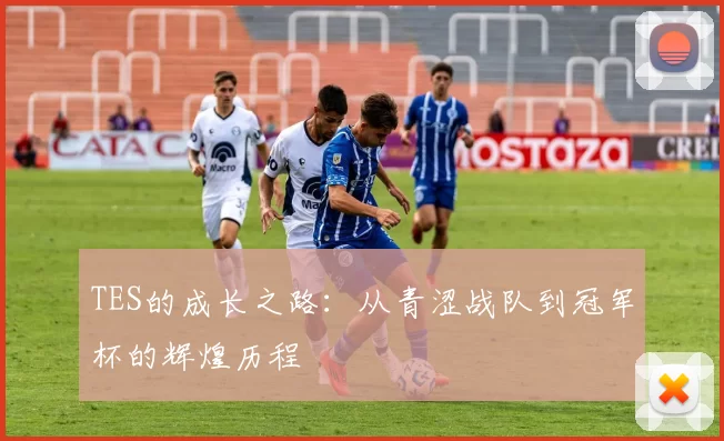 TES的成长之路：从青涩战队到冠军杯的辉煌历程