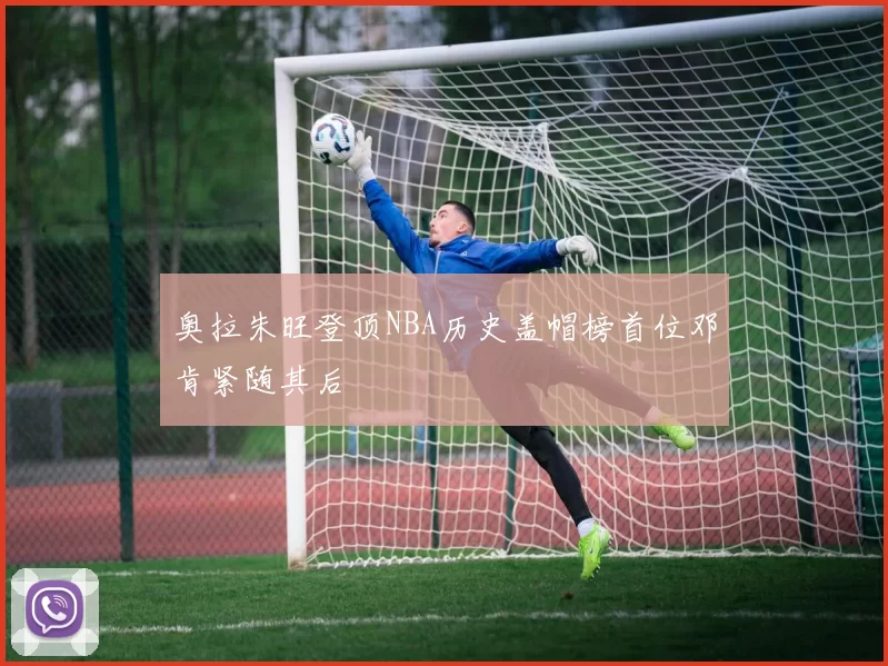 奥拉朱旺登顶NBA历史盖帽榜首位邓肯紧随其后