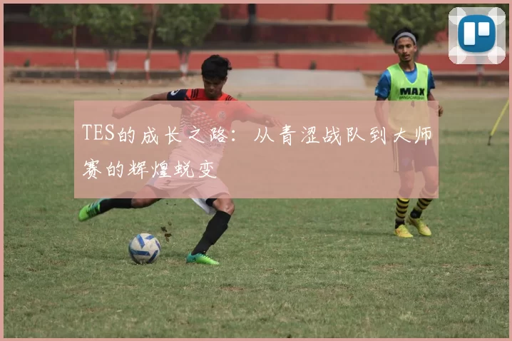 TES的成长之路:从青涩战队到大师赛的辉煌蜕变
