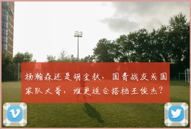 杨瀚森还是胡金秋，国青战友或国家队大哥，谁更适合搭档王俊杰？