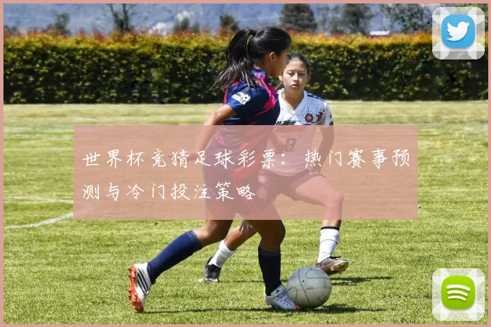 世界杯竞猜足球彩票：热门赛事预测与冷门投注策略