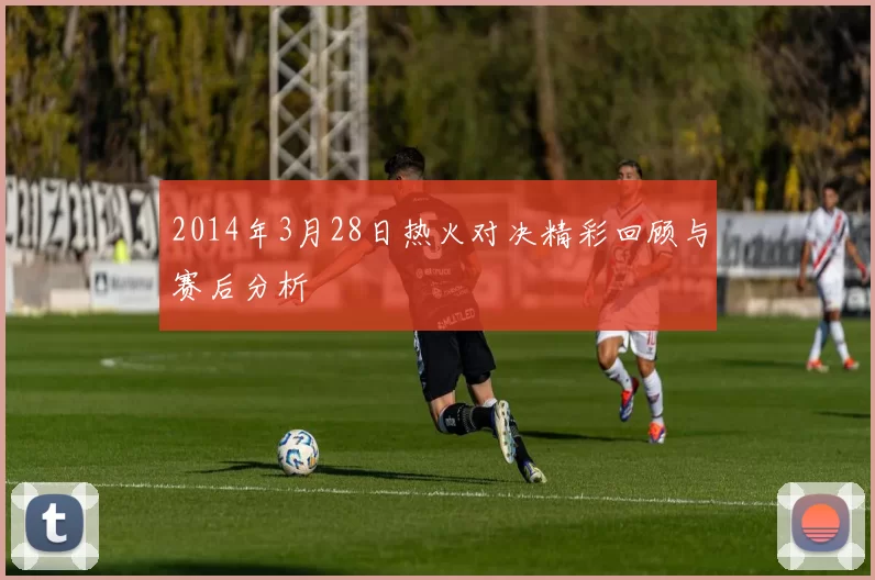 2014年3月28日热火对决精彩回顾与赛后分析