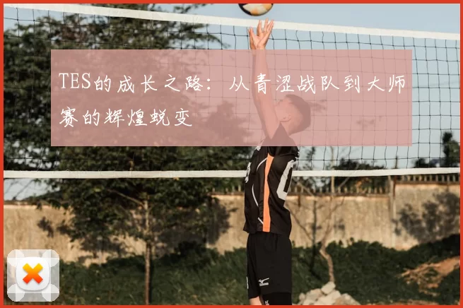 TES的成长之路:从青涩战队到大师赛的辉煌蜕变