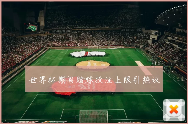 世界杯期间赌球投注上限引热议