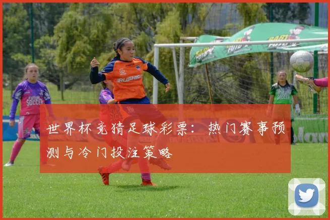 世界杯竞猜足球彩票：热门赛事预测与冷门投注策略