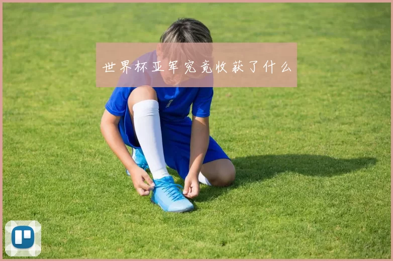 世界杯亚军究竟收获了什么